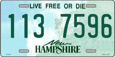 NH license plate 1137596