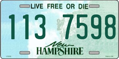 NH license plate 1137598