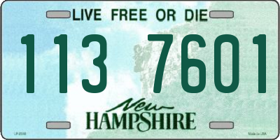 NH license plate 1137601