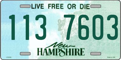 NH license plate 1137603
