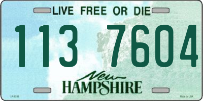 NH license plate 1137604