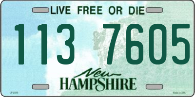 NH license plate 1137605