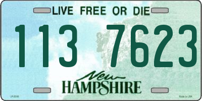 NH license plate 1137623