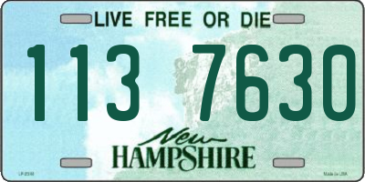 NH license plate 1137630