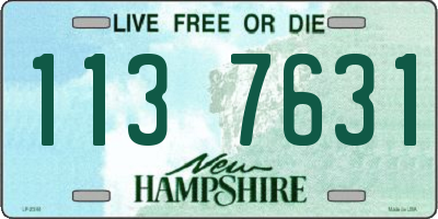 NH license plate 1137631