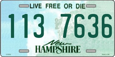 NH license plate 1137636