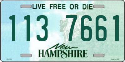 NH license plate 1137661