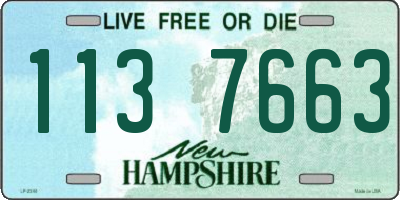 NH license plate 1137663
