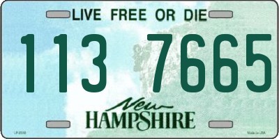 NH license plate 1137665