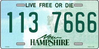 NH license plate 1137666