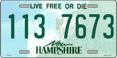 NH license plate 1137673
