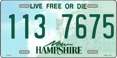 NH license plate 1137675