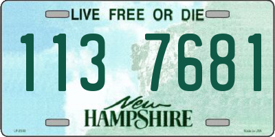 NH license plate 1137681