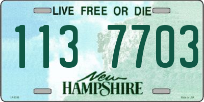 NH license plate 1137703