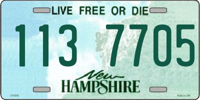 NH license plate 1137705