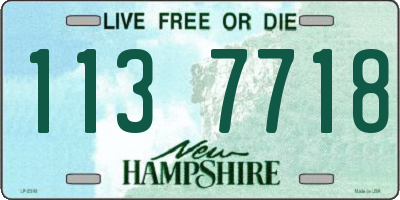 NH license plate 1137718