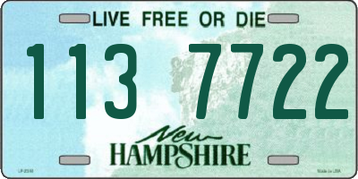 NH license plate 1137722