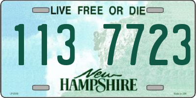 NH license plate 1137723