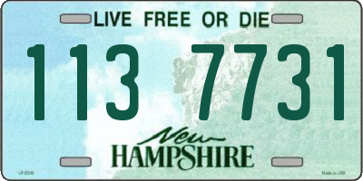 NH license plate 1137731