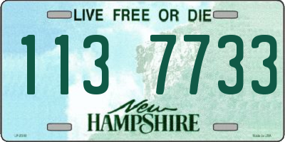 NH license plate 1137733