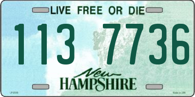 NH license plate 1137736