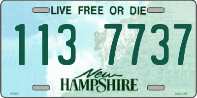 NH license plate 1137737