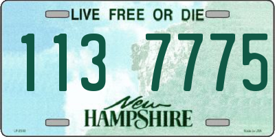NH license plate 1137775