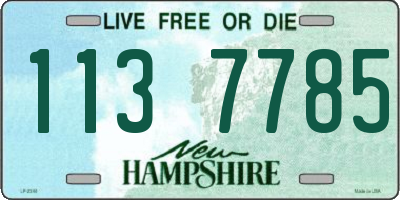 NH license plate 1137785
