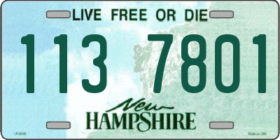 NH license plate 1137801