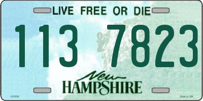 NH license plate 1137823