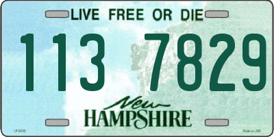 NH license plate 1137829
