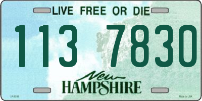 NH license plate 1137830