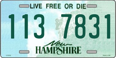 NH license plate 1137831