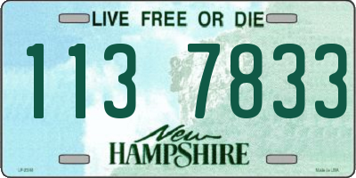 NH license plate 1137833