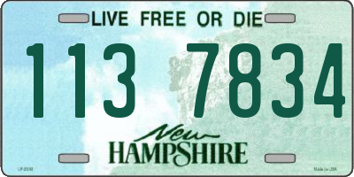 NH license plate 1137834