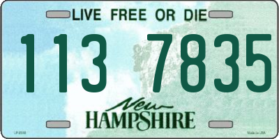 NH license plate 1137835