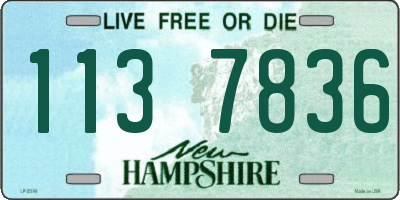 NH license plate 1137836