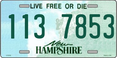 NH license plate 1137853