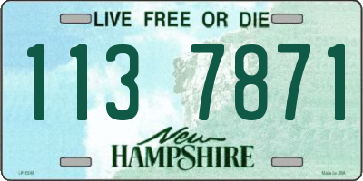 NH license plate 1137871