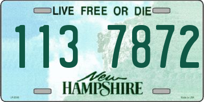NH license plate 1137872