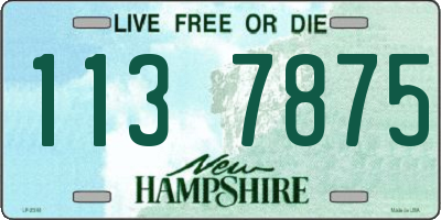 NH license plate 1137875