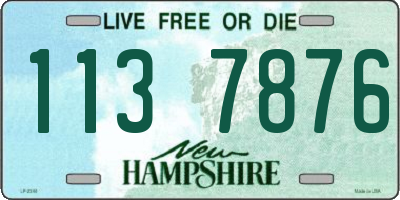 NH license plate 1137876