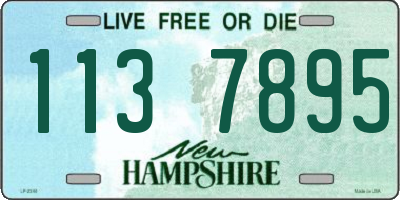 NH license plate 1137895