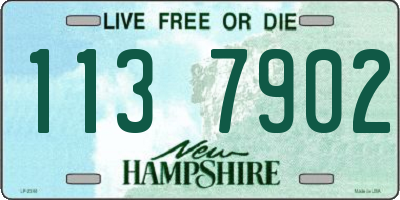 NH license plate 1137902