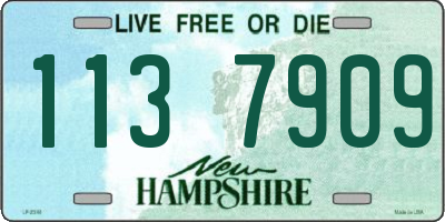 NH license plate 1137909