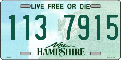 NH license plate 1137915