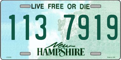 NH license plate 1137919