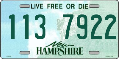 NH license plate 1137922