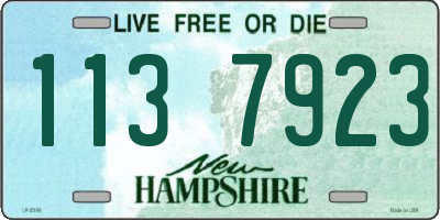 NH license plate 1137923