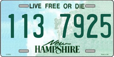 NH license plate 1137925